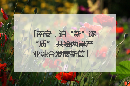南安：追“新”逐“质” 共绘两岸产业融合发展新篇