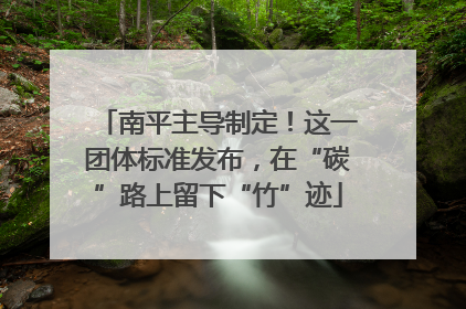 南平主导制定！这一团体标准发布，在“碳”路上留下“竹”迹