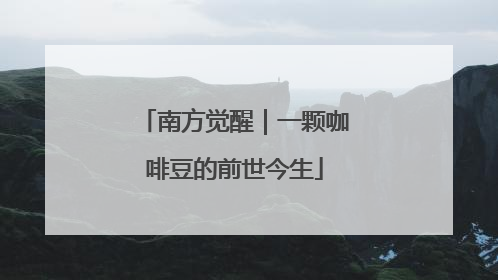 南方觉醒｜一颗咖啡豆的前世今生