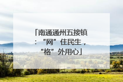 南通通州五接镇：“网”住民生，“格”外用心