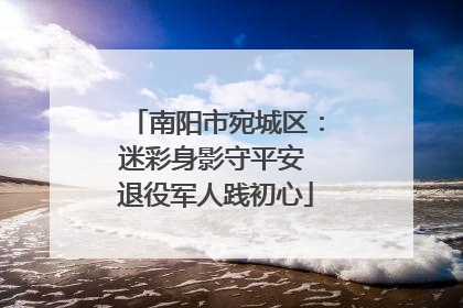 南阳市宛城区：迷彩身影守平安 退役军人践初心
