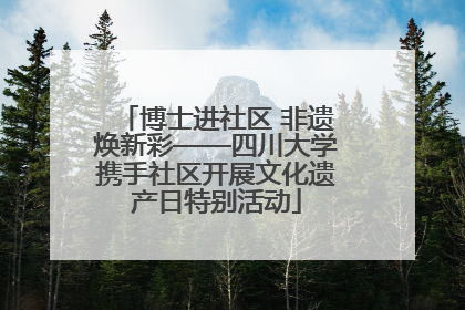 博士进社区 非遗焕新彩——四川大学携手社区开展文化遗产日特别活动