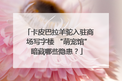 卡皮巴拉羊驼入驻商场写字楼 “萌宠馆”暗藏哪些隐患？
