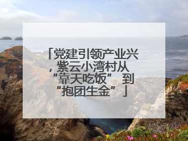 党建引领产业兴，紫云小湾村从 “靠天吃饭” 到 “抱团生金”