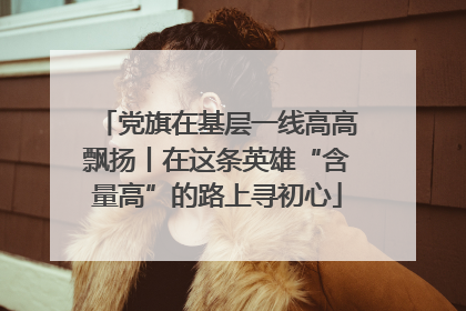 党旗在基层一线高高飘扬丨在这条英雄“含量高”的路上寻初心
