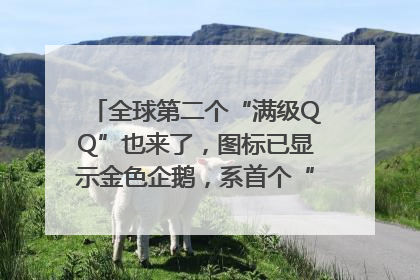 全球第二个“满级QQ”也来了，图标已显示金色企鹅，系首个“满级QQ”的小号