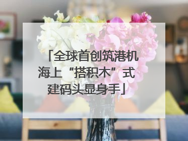 全球首创筑港机海上“搭积木”式建码头显身手