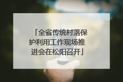 全省传统村落保护利用工作现场推进会在松阳召开