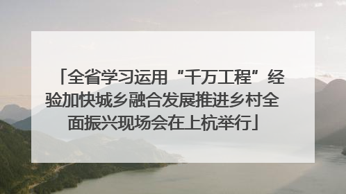 全省学习运用“千万工程”经验加快城乡融合发展推进乡村全面振兴现场会在上杭举行