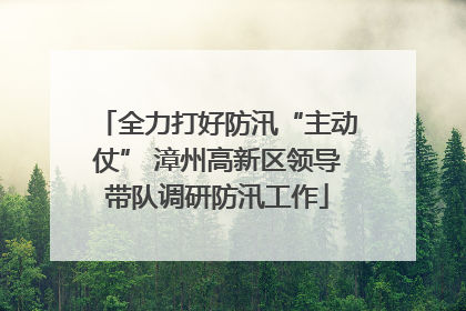 全力打好防汛“主动仗” 漳州高新区领导带队调研防汛工作