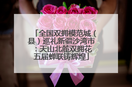 全国双拥模范城（县）巡礼新疆沙湾市：天山北麓双拥花 五届蝉联铸辉煌
