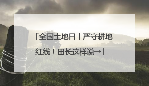 全国土地日丨严守耕地红线！田长这样说→