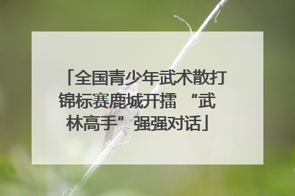 全国青少年武术散打锦标赛鹿城开擂 “武林高手”强强对话