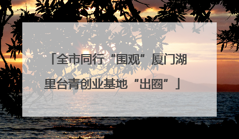 全市同行“围观”厦门湖里台青创业基地“出圈”