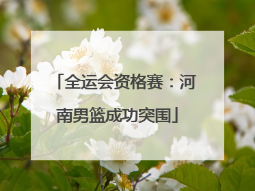 全运会资格赛：河南男篮成功突围