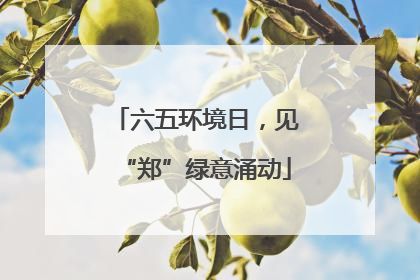 六五环境日，见“郑”绿意涌动