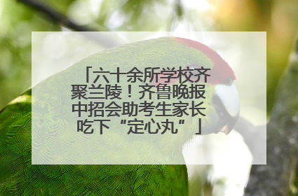 六十余所学校齐聚兰陵！齐鲁晚报中招会助考生家长吃下“定心丸”