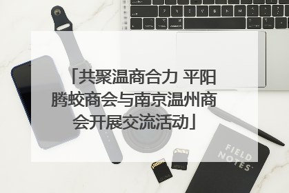 共聚温商合力 平阳腾蛟商会与南京温州商会开展交流活动