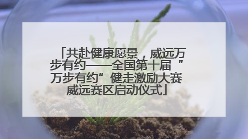 共赴健康愿景，威远万步有约——全国第十届“万步有约”健走激励大赛威远赛区启动仪式