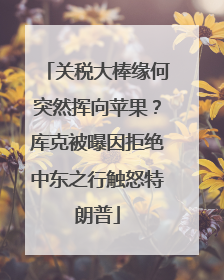 关税大棒缘何突然挥向苹果？库克被曝因拒绝中东之行触怒特朗普