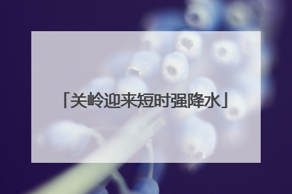 关岭迎来短时强降水
