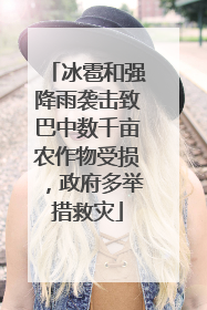 冰雹和强降雨袭击致巴中数千亩农作物受损，政府多举措救灾