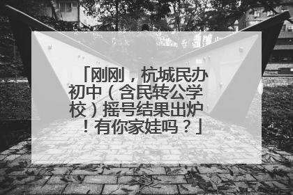 刚刚，杭城民办初中（含民转公学校）摇号结果出炉！有你家娃吗？
