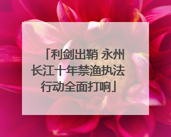 利剑出鞘 永州长江十年禁渔执法行动全面打响