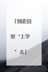 到麦田里“上学”去