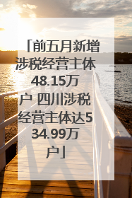 前五月新增涉税经营主体48.15万户 四川涉税经营主体达534.99万户