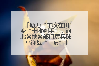助力“丰收在田”变“丰收到手”，河北各地各部门厉兵秣马迎战“三夏”