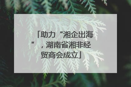 助力“湘企出海”，湖南省湘非经贸商会成立
