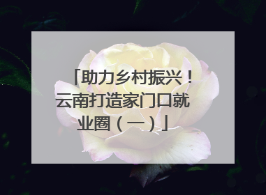 助力乡村振兴！云南打造家门口就业圈（一）