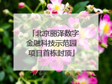 北京丽泽数字金融科技示范园项目首栋封顶