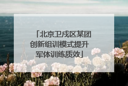 北京卫戍区某团创新组训模式提升军体训练质效