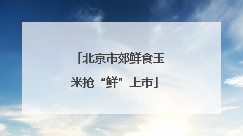 北京市郊鲜食玉米抢“鲜”上市