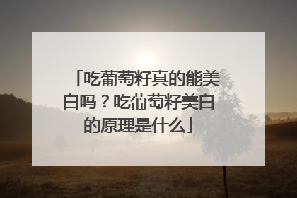 吃葡萄籽真的能美白吗？吃葡萄籽美白的原理是什么