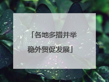 各地多措并举稳外贸促发展