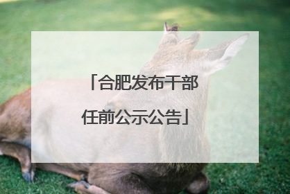 合肥发布干部任前公示公告