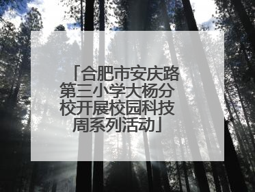合肥市安庆路第三小学大杨分校开展校园科技周系列活动