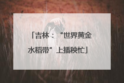 吉林：“世界黄金水稻带”上插秧忙