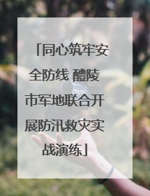同心筑牢安全防线 醴陵市军地联合开展防汛救灾实战演练