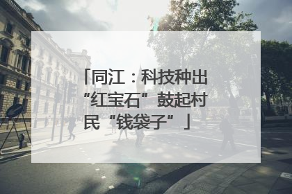 同江：科技种出“红宝石”鼓起村民“钱袋子”