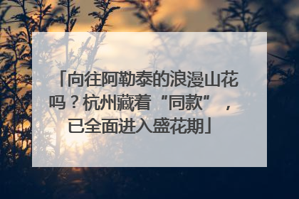 向往阿勒泰的浪漫山花吗？杭州藏着“同款”，已全面进入盛花期