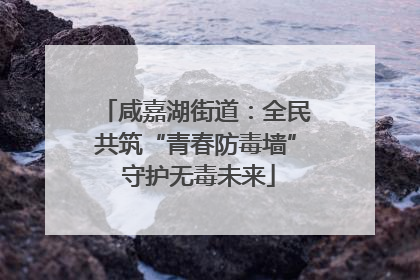 咸嘉湖街道：全民共筑“青春防毒墙” 守护无毒未来