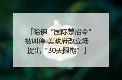 哈佛“国际禁招令”被叫停 美政府改立场提出“30天限期”