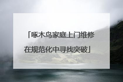 啄木鸟家庭上门维修在规范化中寻找突破