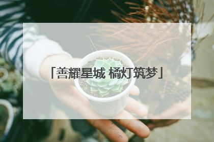 善耀星城 橘灯筑梦