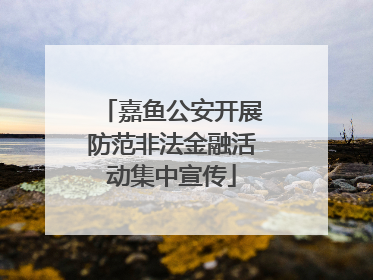 嘉鱼公安开展防范非法金融活动集中宣传