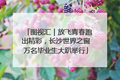 图视汇｜放飞青春跑出精彩，长沙世界之窗万名毕业生大趴举行